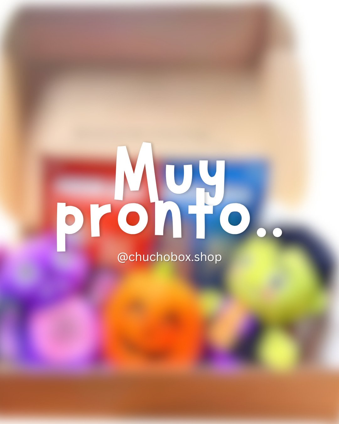 WhatsApp Image 2025-10-22 at 10.48.06 AM(1)