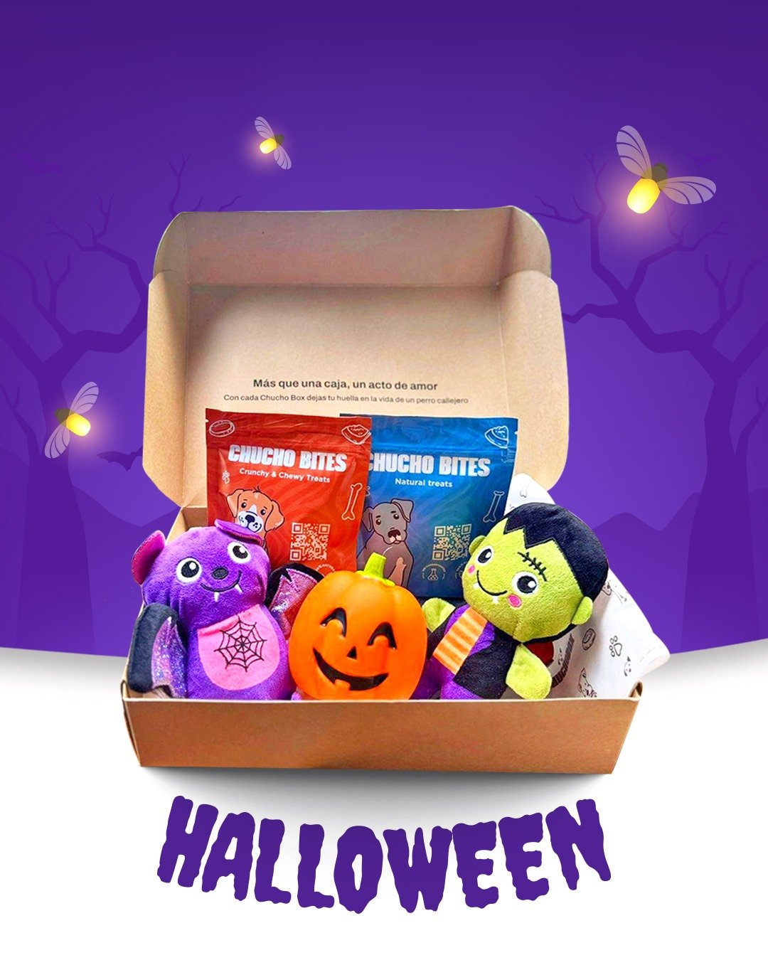 WhatsApp Image 2025-10-22 at 16.37.57_8cb92e4e